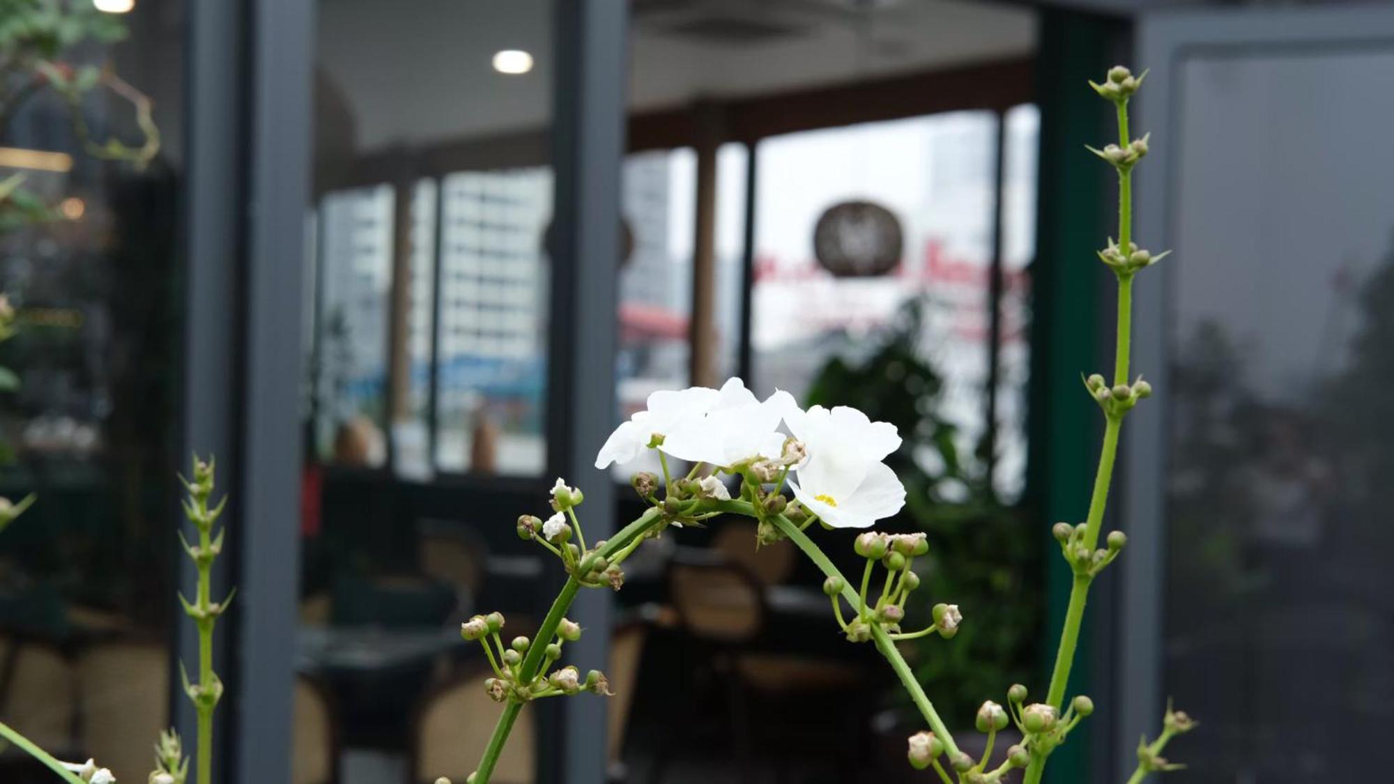 The Bloom Classic - Hotel And Bistro Hanói Exterior foto